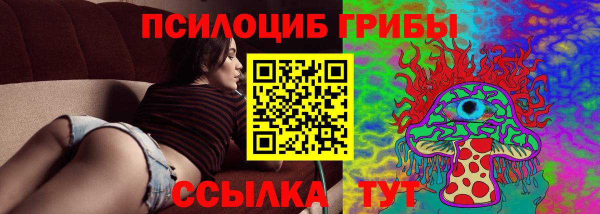 Псилоцибиновые грибы прущие грибы  Вход с VPN  Салехард 